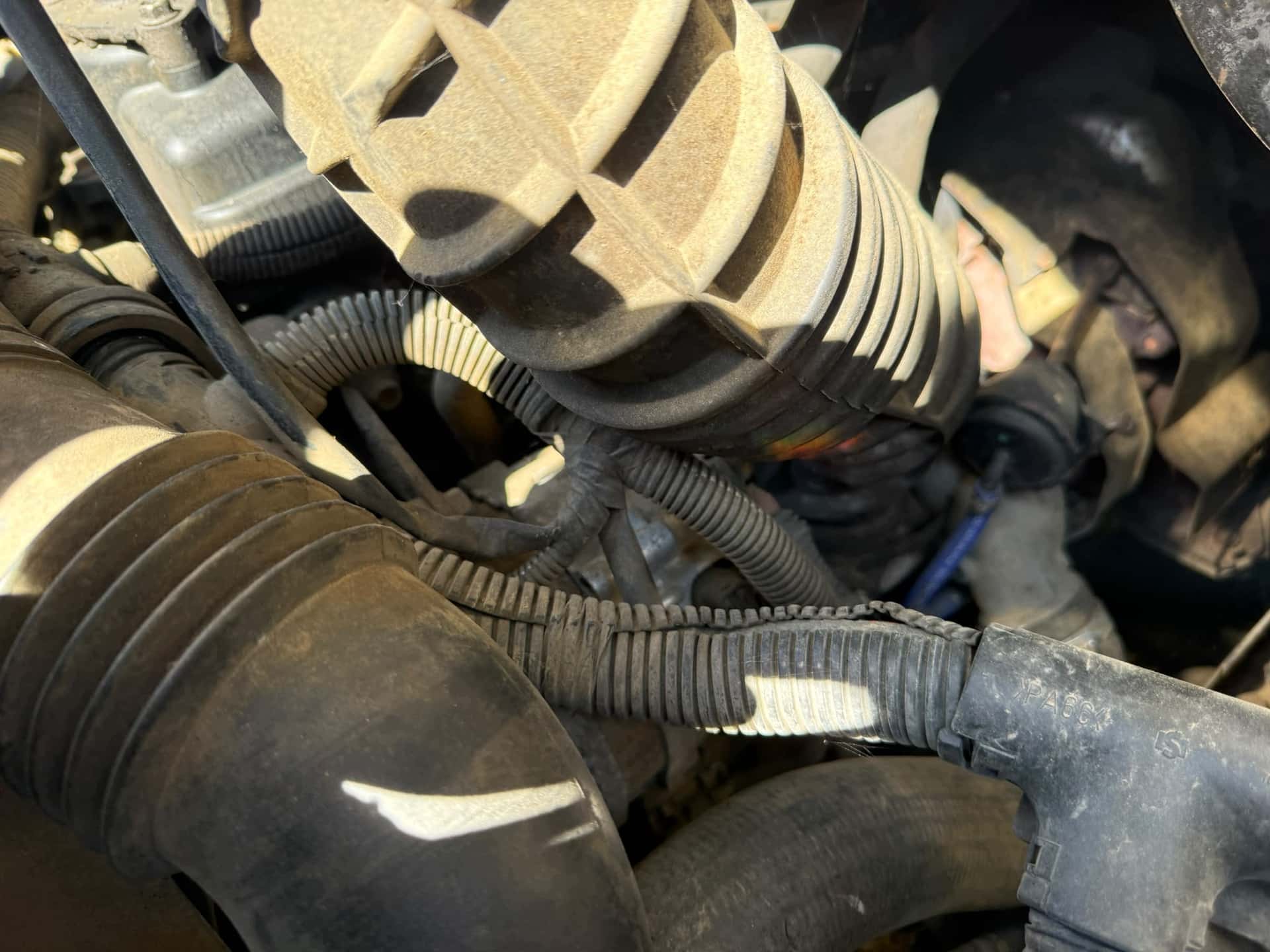 Moteur ZD3 600 vue 3