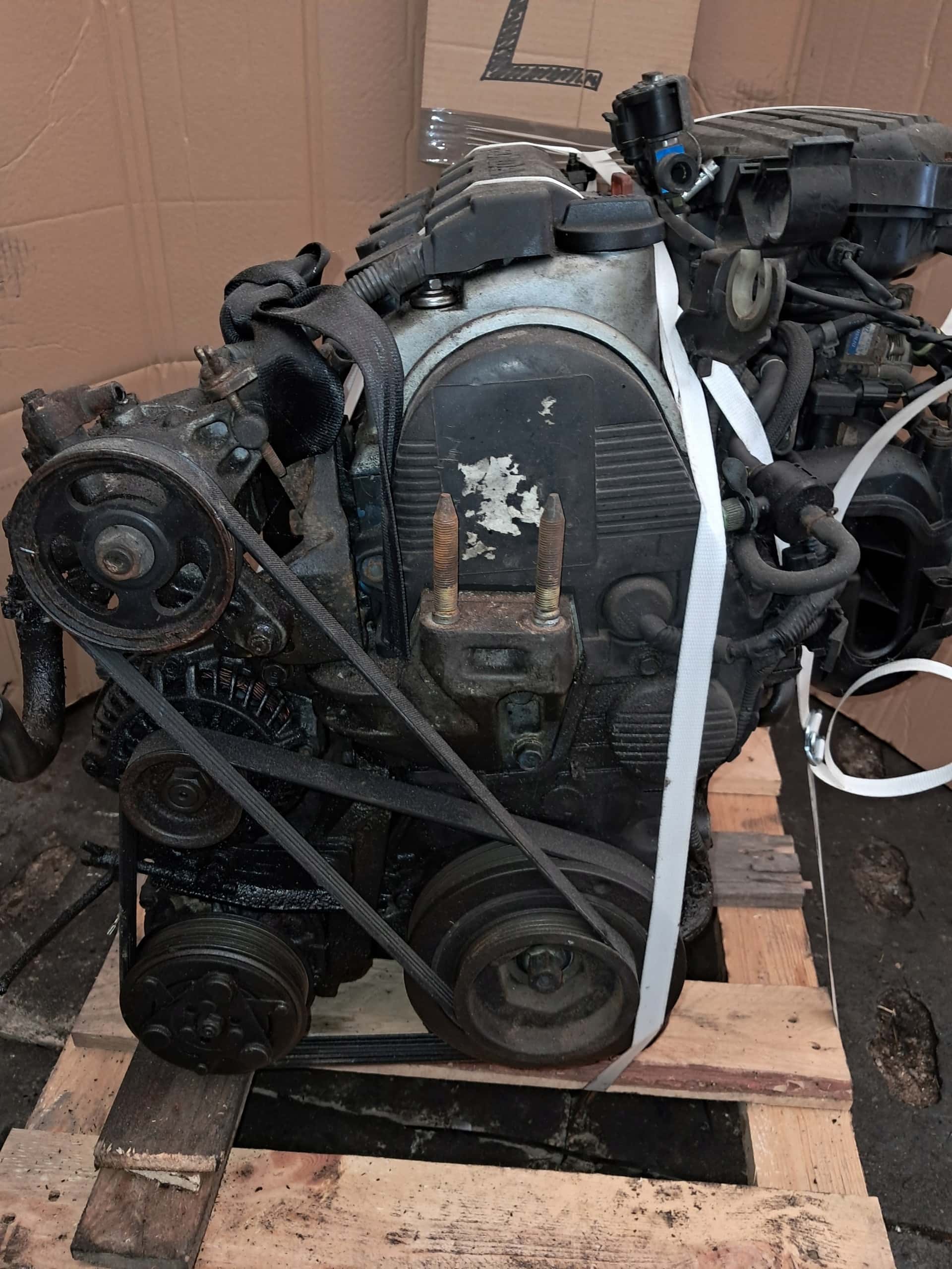 Moteur D14Z6 vue 11