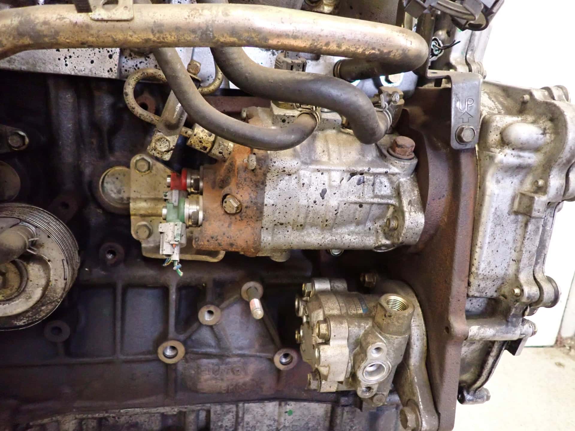 Moteur YD22DDT vue 3