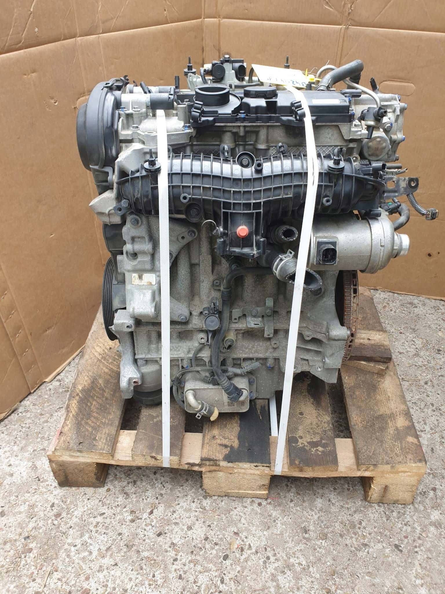 Moteur B 4204 T19 vue 4