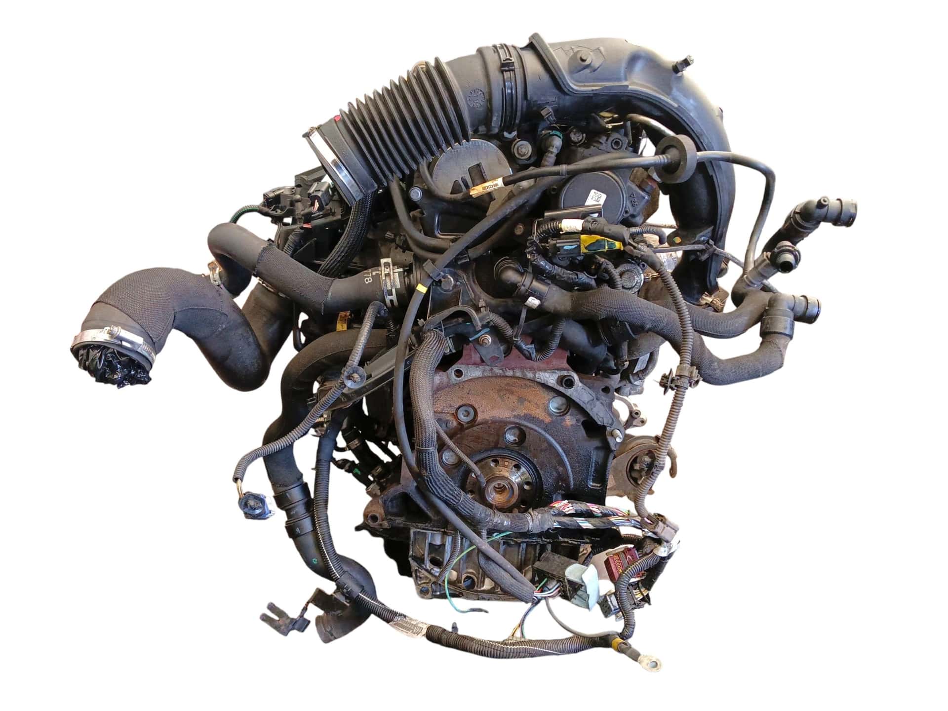 Moteur RHE (DW10CTED4) vue 5