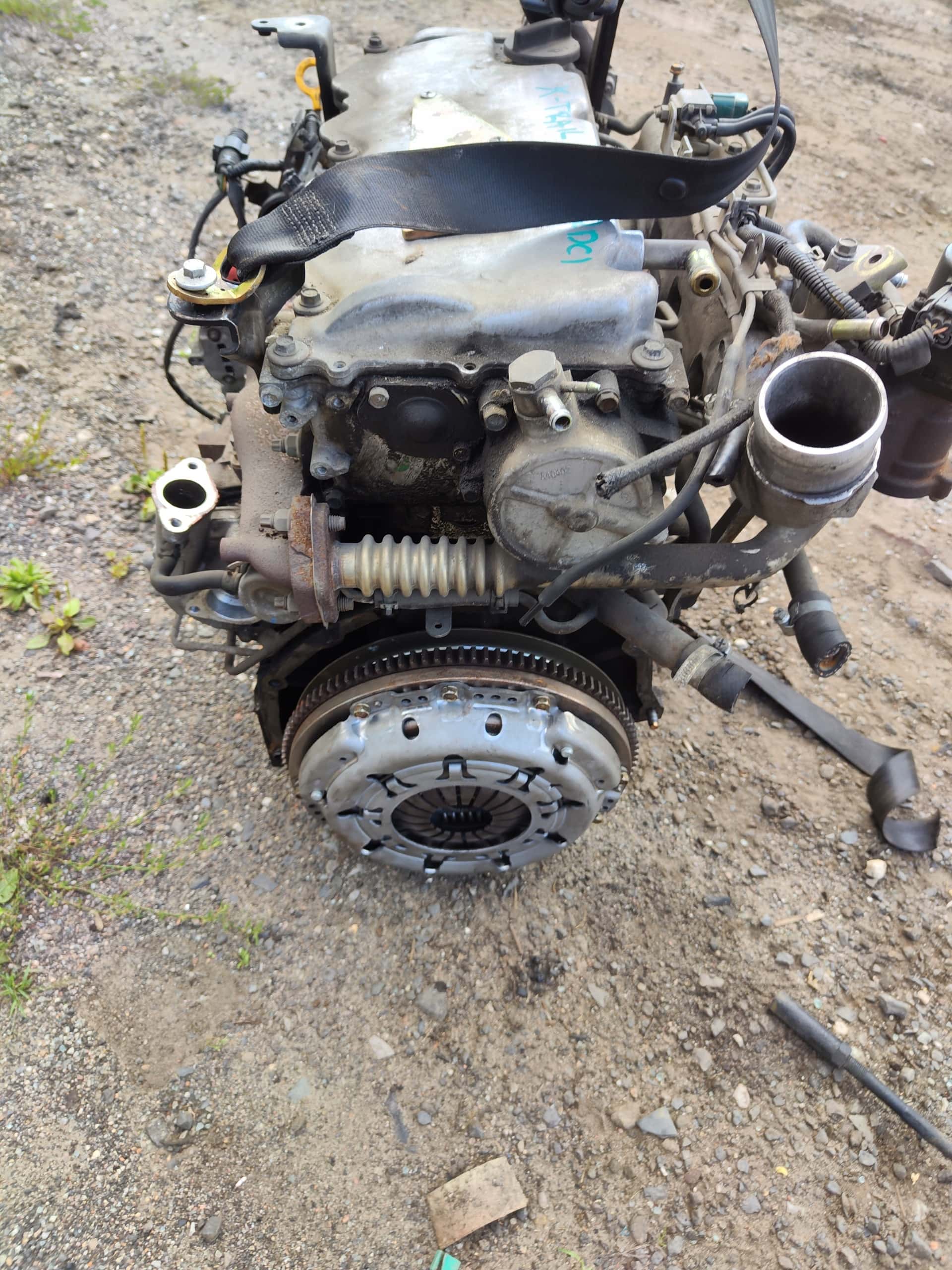 Moteur YD22DDTi vue 5