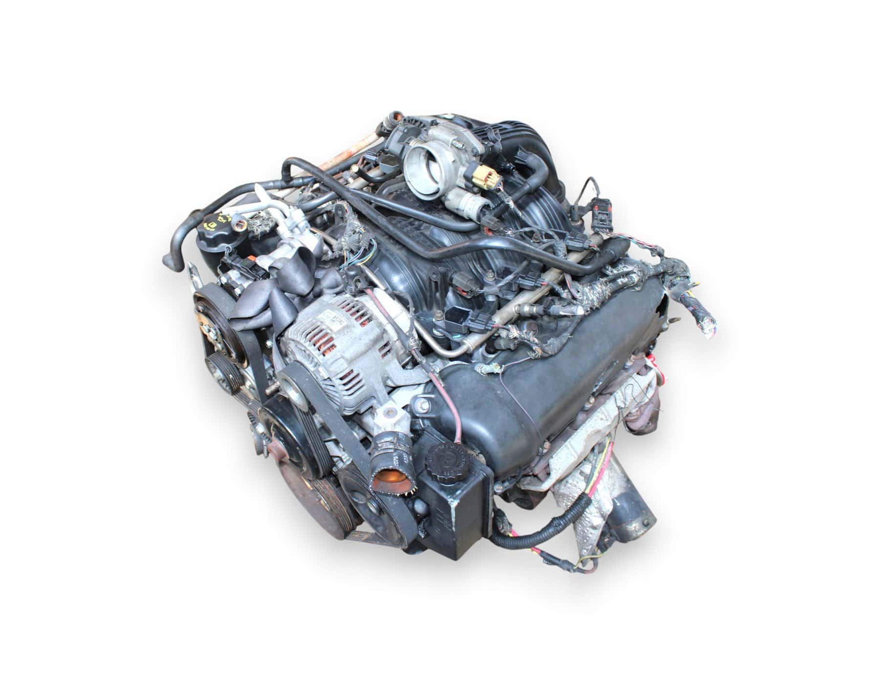 Moteur EKG vue 2