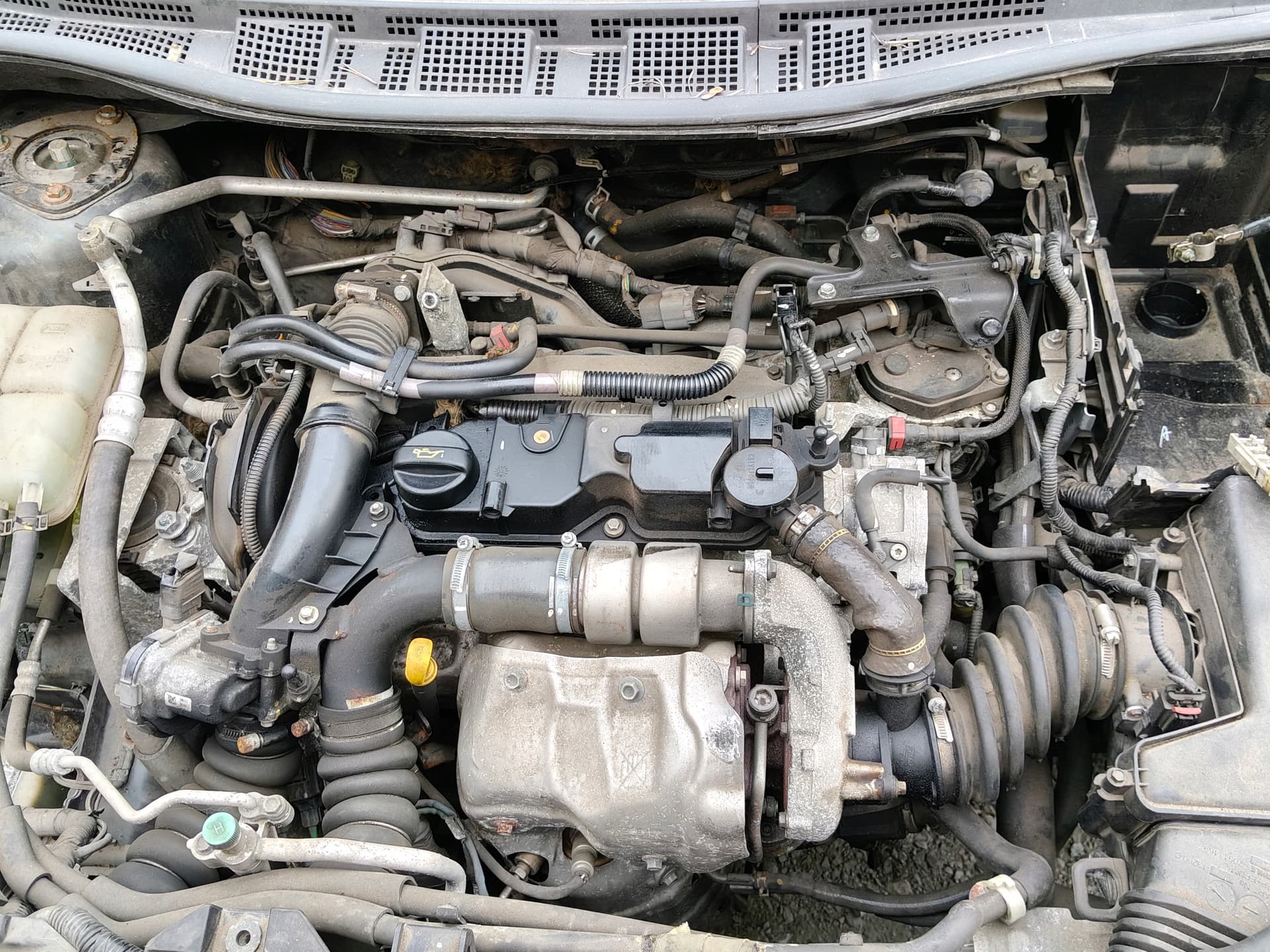 Moteur Y6Y1 pour Mazda 5