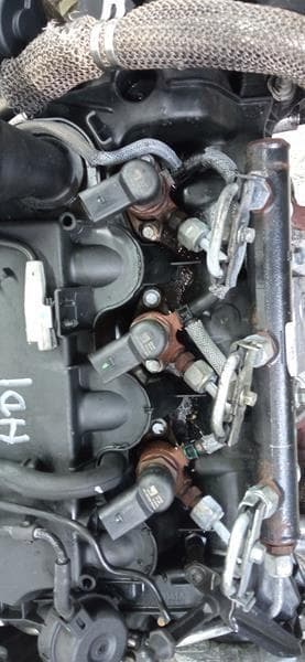 Moteur 4HP (DW12BTED4) — vue 2