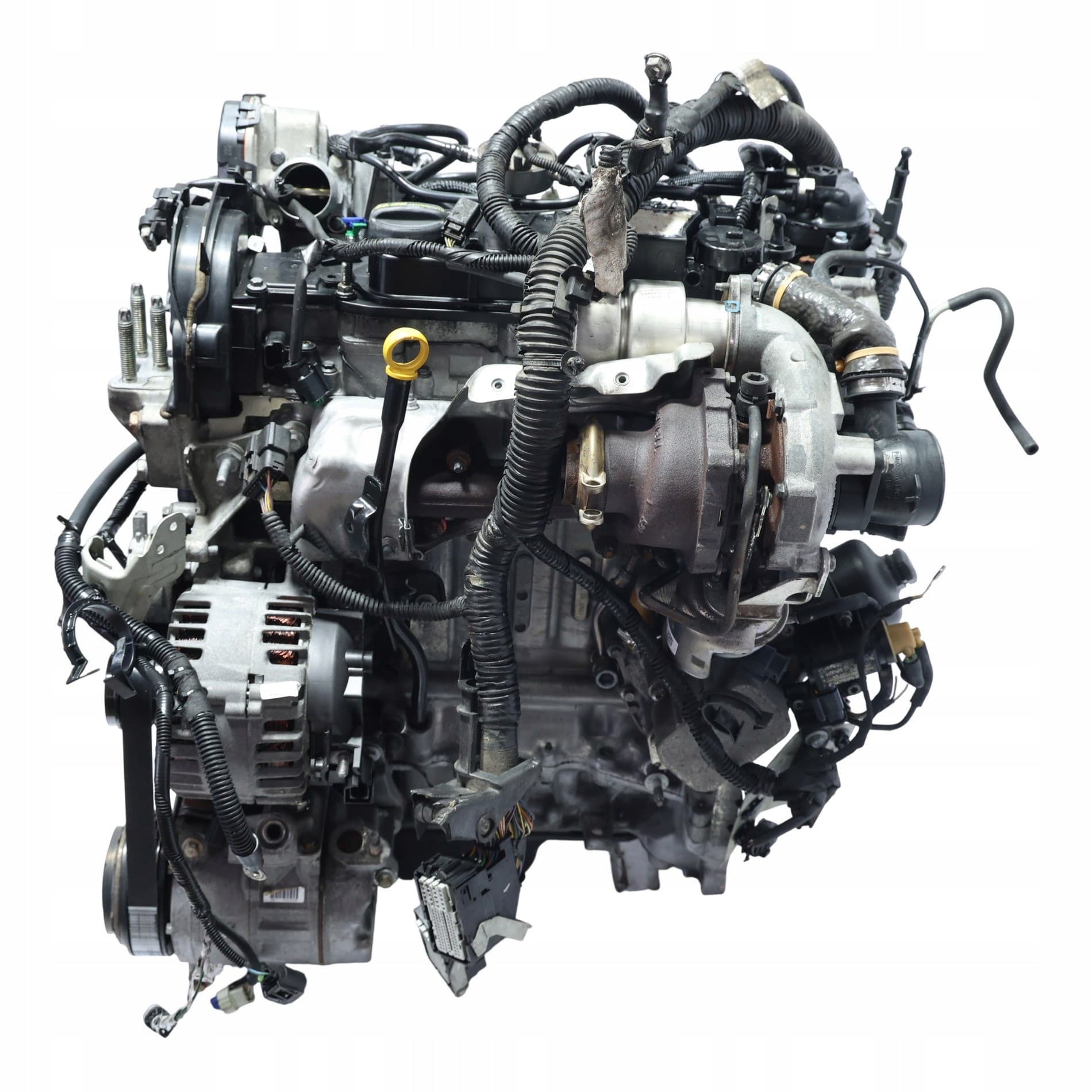 Moteur XWDD pour Ford Focus