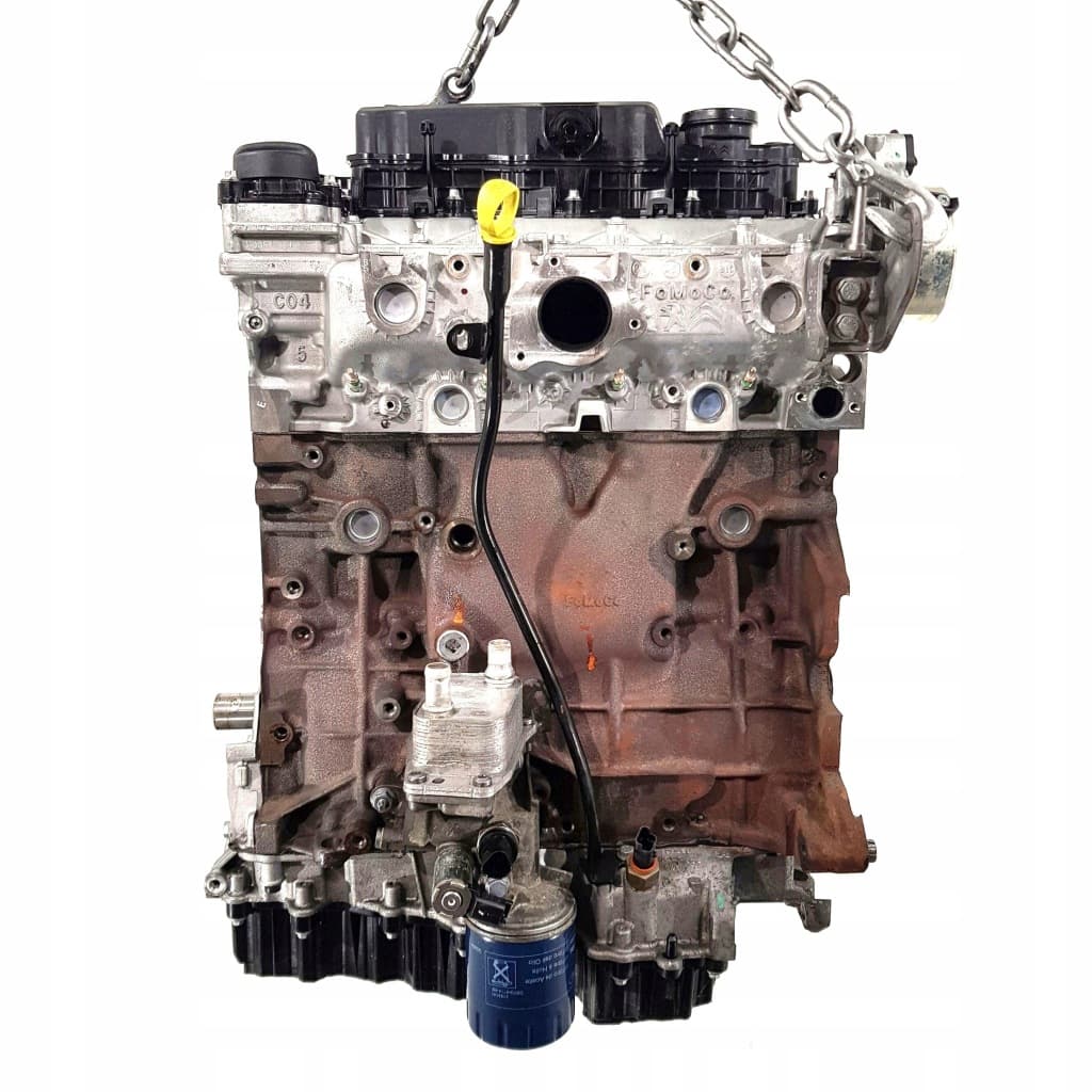 Moteur EHZ (DW10FC) — vue 4