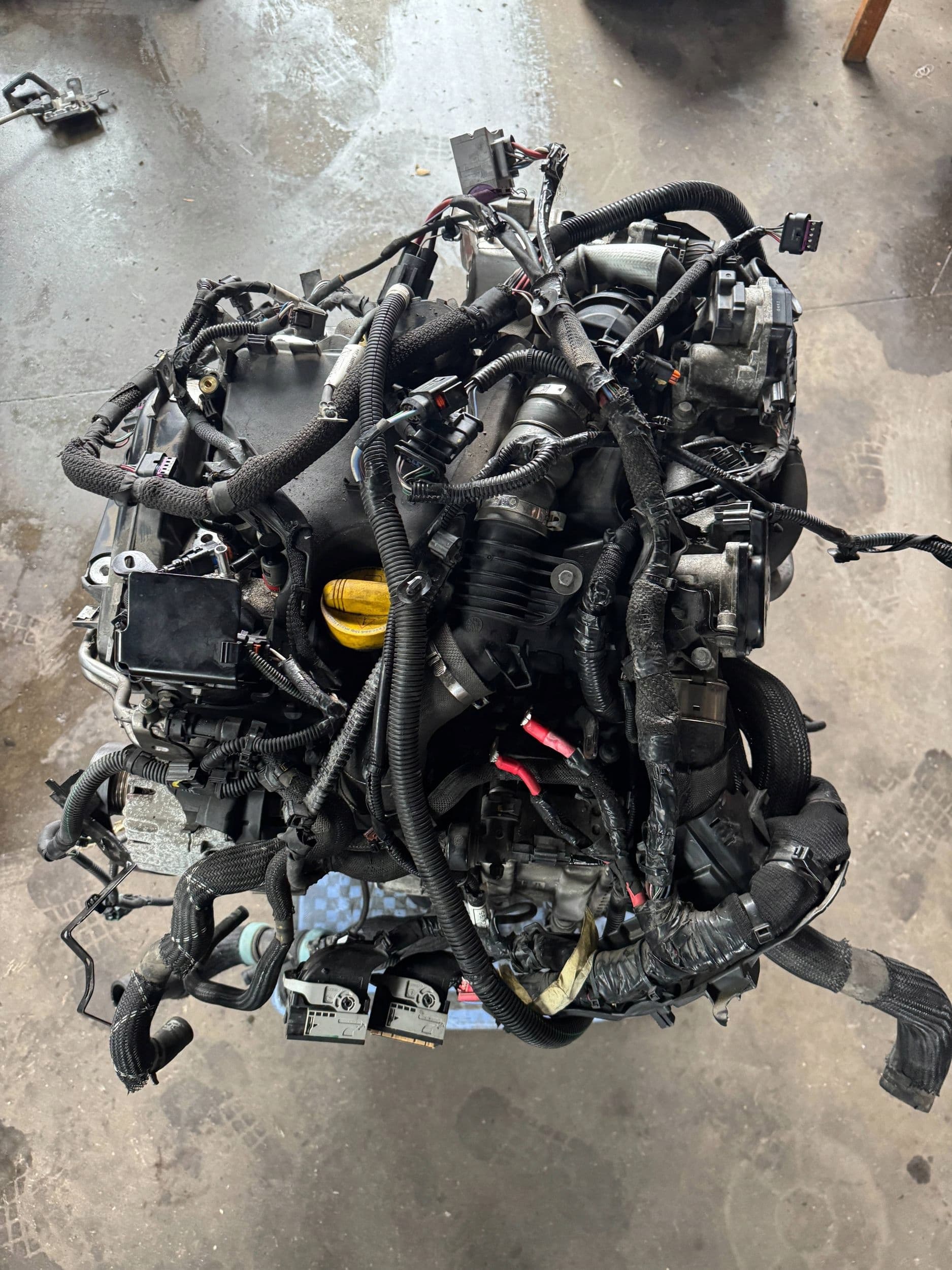Moteur K9K 872 pour Renault