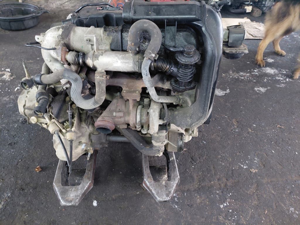 Moteur RHS (DW10ATED) — vue 2