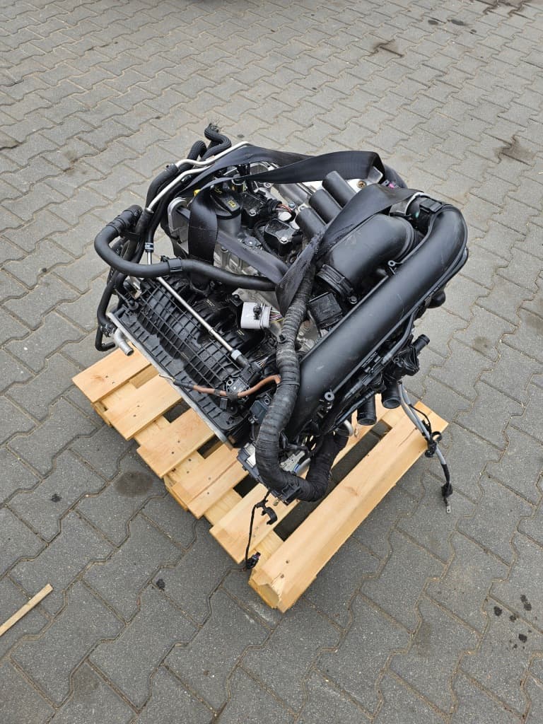 Moteur DGEA pour Cupra