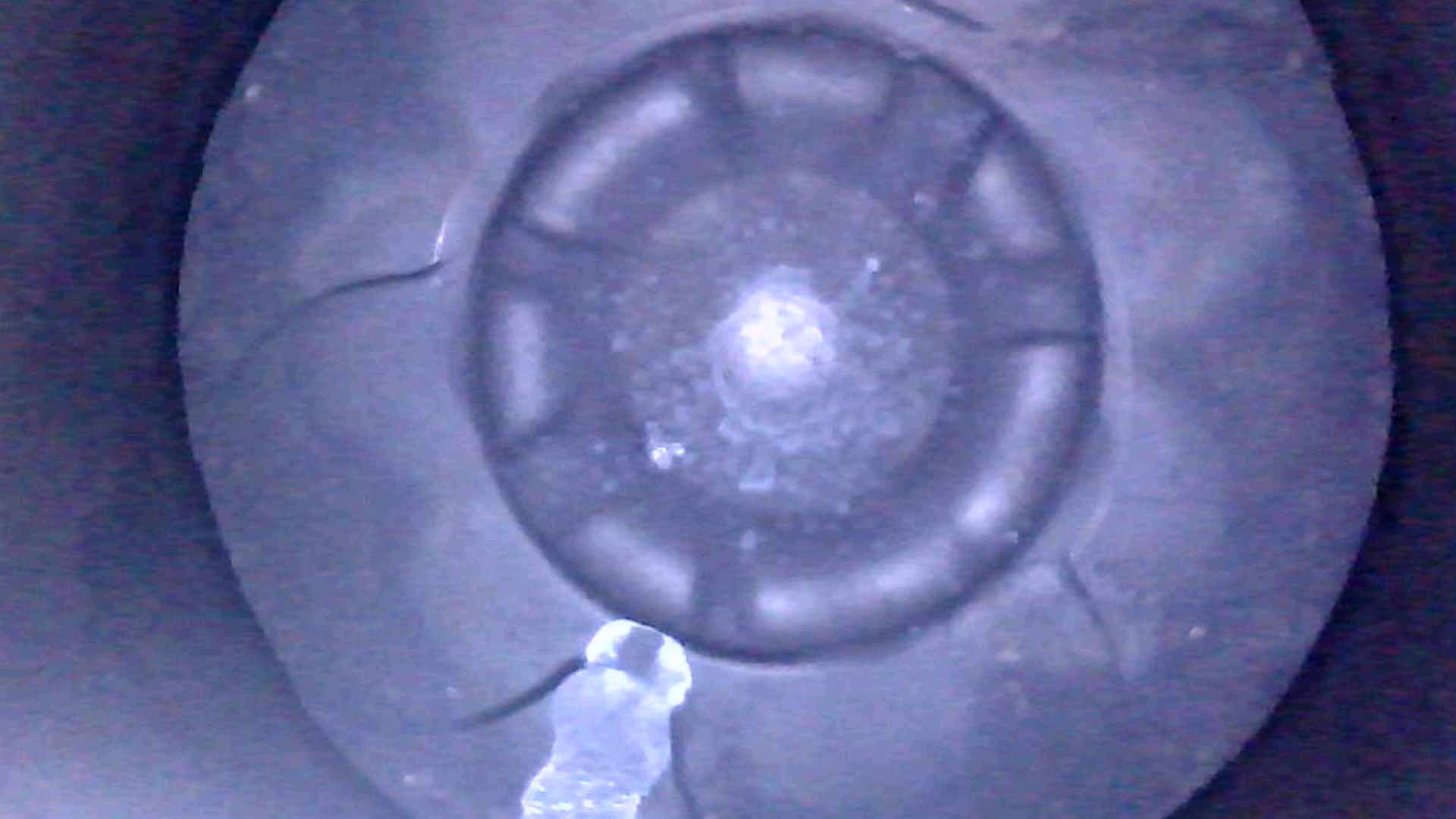 Moteur D 5204 T3 — vue 11