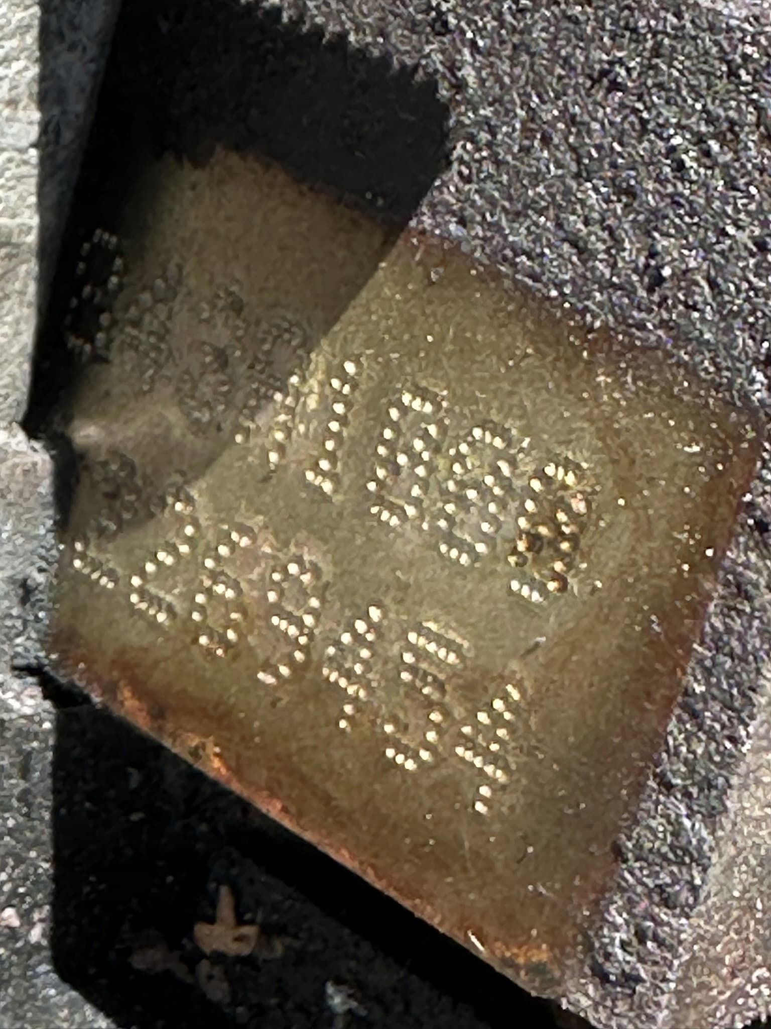 Moteur 843 A1.000 — vue 6