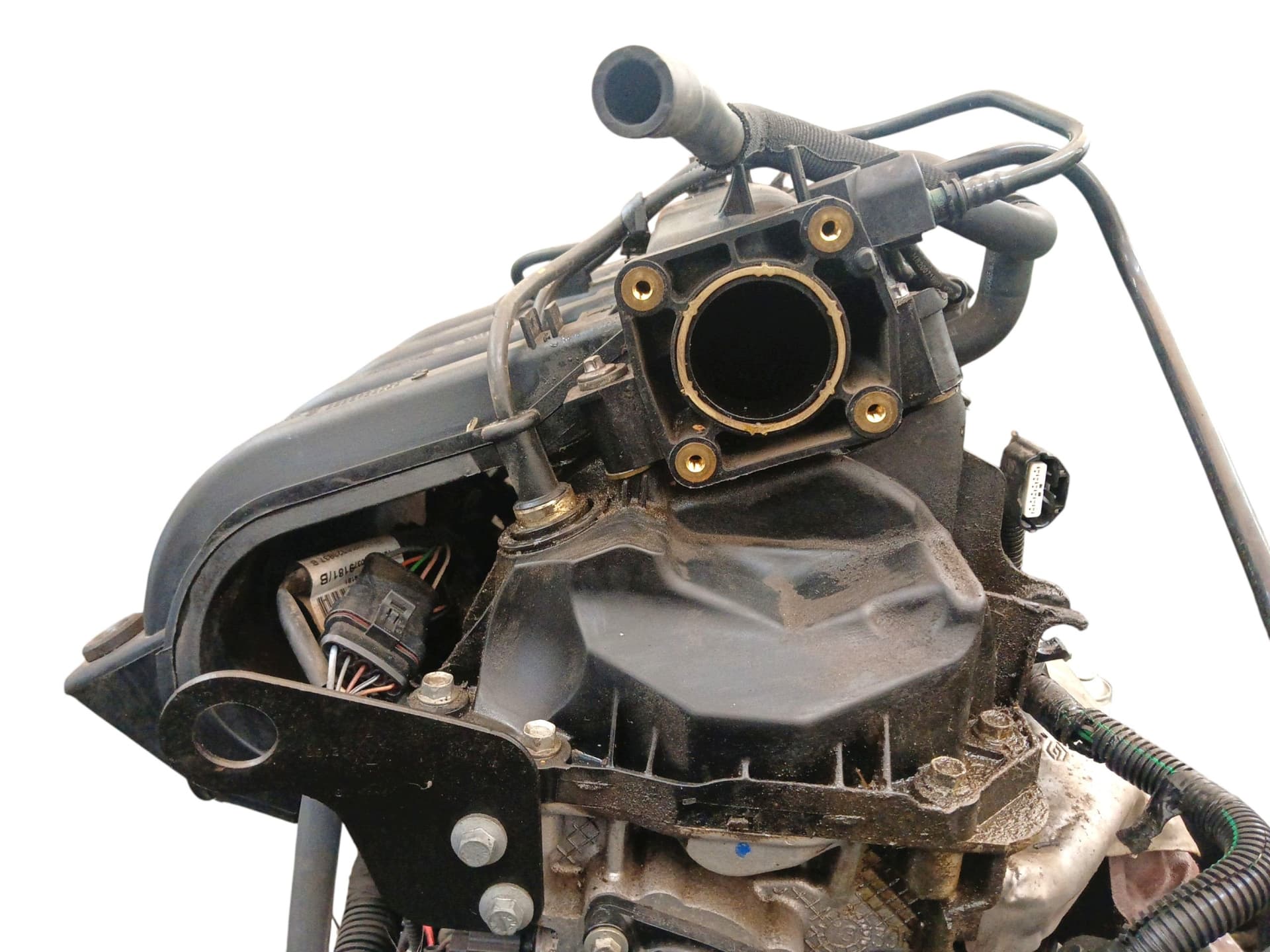 Moteur D4F 732 — vue 6