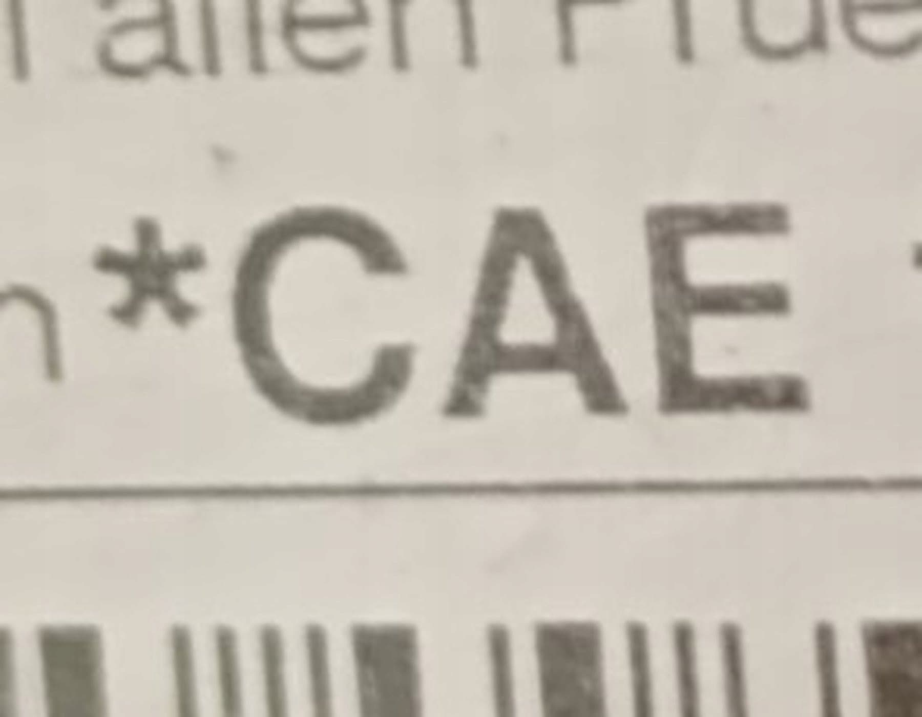 Moteur CAEA — vue 3
