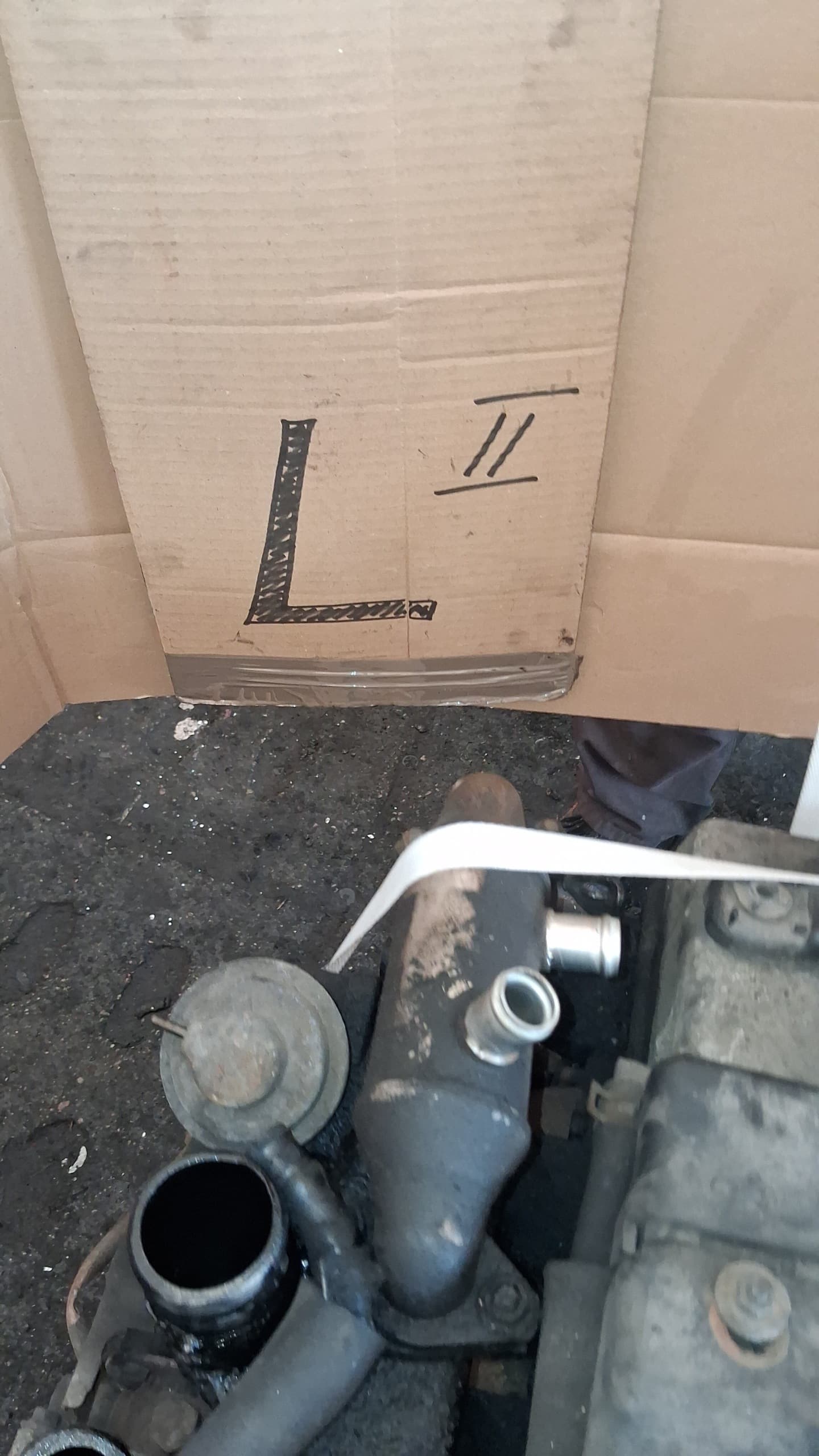 Moteur 4D56 (16V) — vue 2