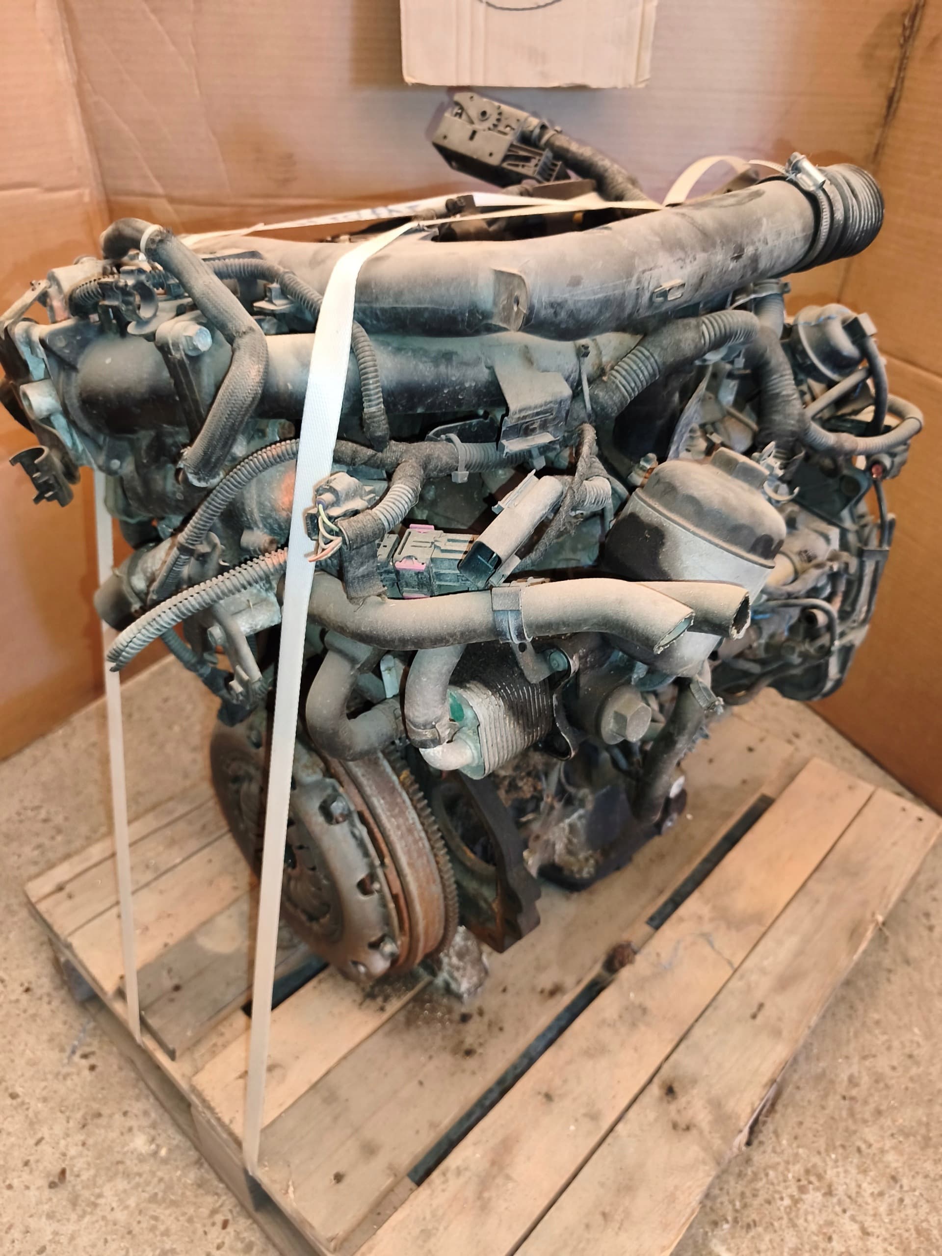 Moteur Z 17 DTH — vue 11