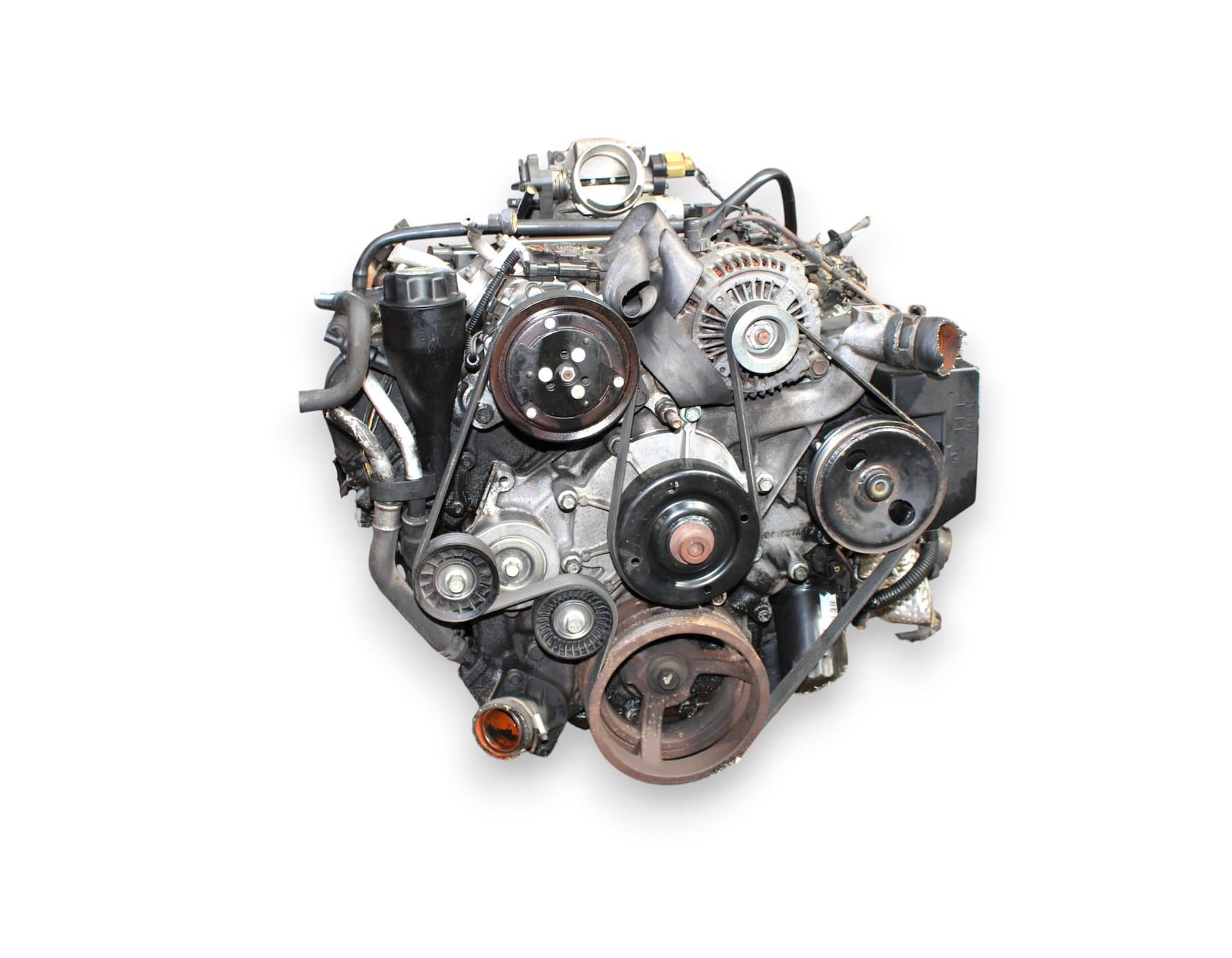 Moteur EKG - Image 1