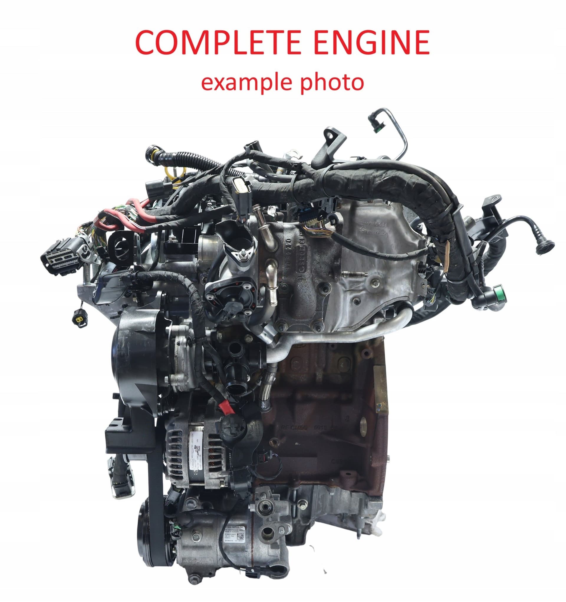 Moteur SFJH pour Ford Fiesta